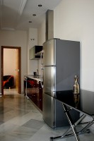 /album/granada-1-dormitorio-calle-lumbreras-sevilla-41001/l2-k1-jpg/