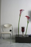 /album/granada-1-dormitorio-calle-lumbreras-sevilla-41001/l2-v1-jpg/